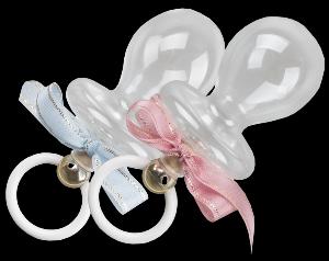 Detesk Švestka 40% 0,1l (dárkové balení skleněný dudlík)