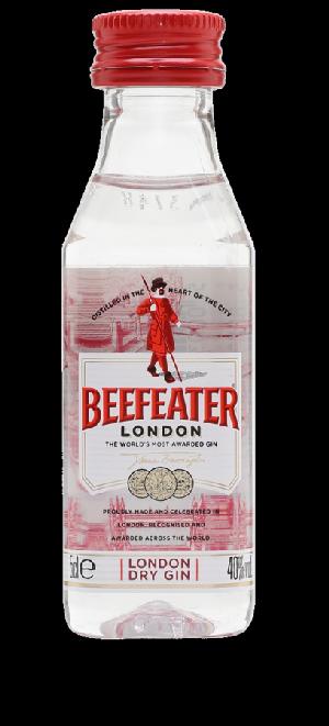 Mini Beefeater 40% 0,05L (holá láhev)