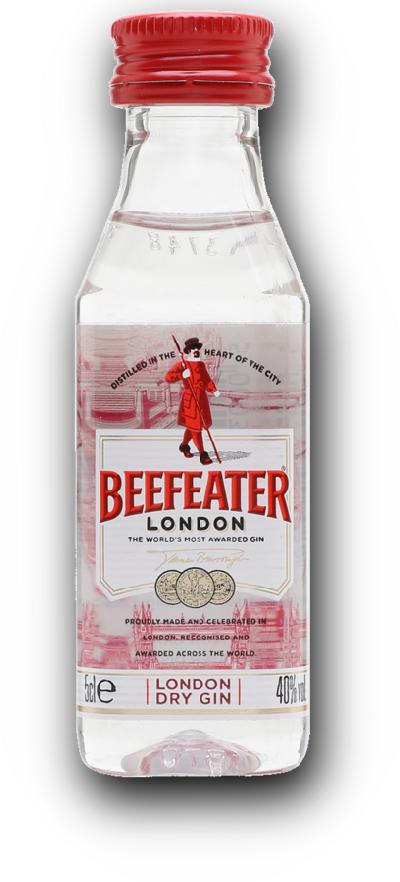 Mini Beefeater 40% 0,05L (holá láhev)