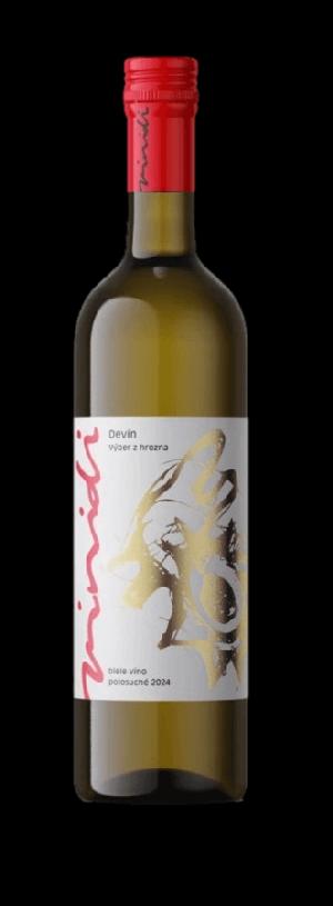 Vinidi Devín 2024 12% 0,75L (holá láhev)