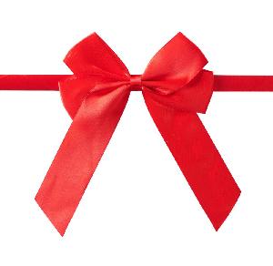 Dárková stuha pro koníka - červená