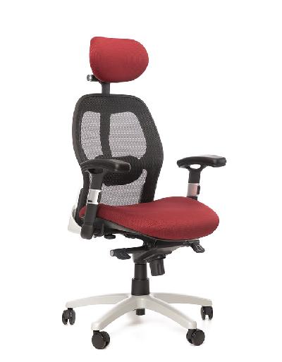 Office Pro Saturn Net